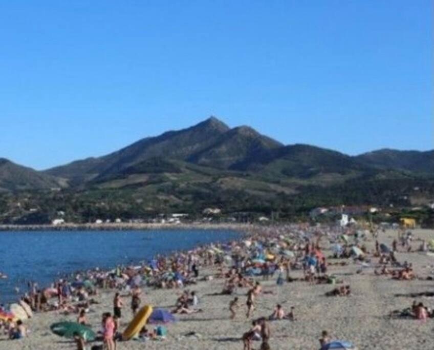 La Brise Marine ~ 300M Mer~Piscine~Clim~Wifi~Calme Argelès-sur-Mer Dış mekan fotoğraf